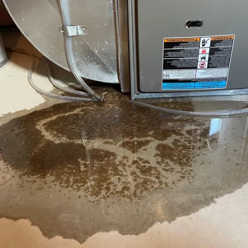 Pipe Burst and Leak Restoration in Edmonson County, KY