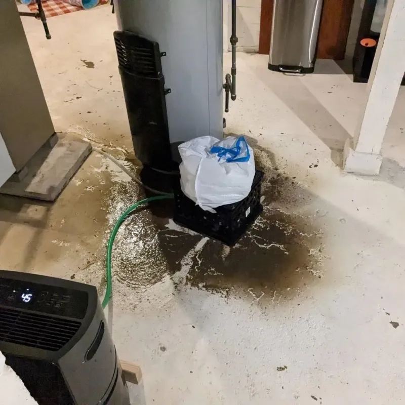 Sewage Backup Cleanup Service in Edmonson County, KY